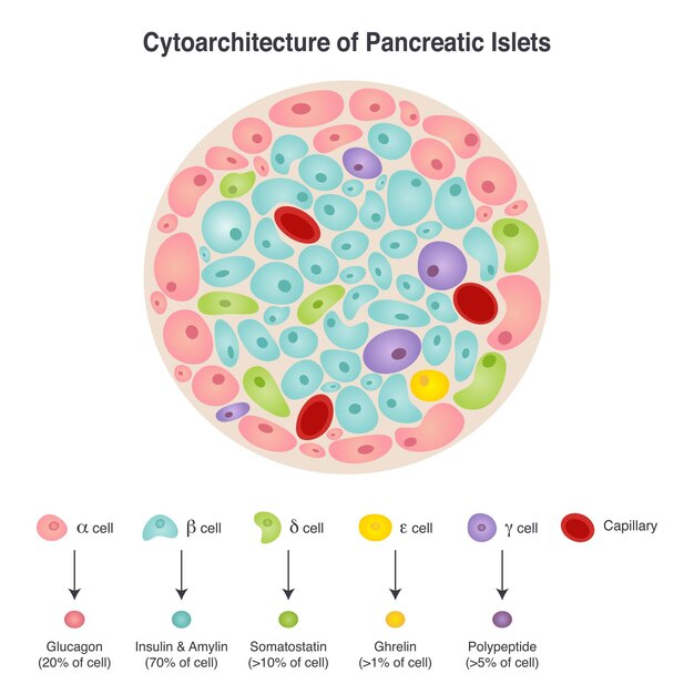 Gluty do zabawy rozweselają dzieci i wspierają kreatywność